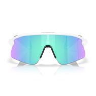 GAFAS OAKLEY STUNT DEVIL