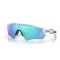 GAFAS OAKLEY RADAR EV PATH