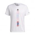 CAMISETA MANGA CORTA ADIDAS TERREX AGRAVIC