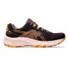 ZAPATILLAS ASICS TRABUCO TERRA 2