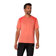 CAMISETA MANGA CORTA ROAD SS TOP