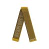 CORREA COROS NYLON 22MM para APEX 2 / APEX 2 PRO